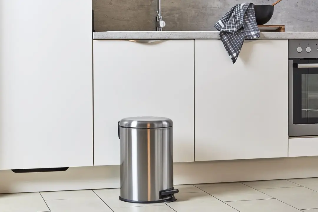 Wenko Pedaalemmer Leman 20L RVS - Mat - 22704100