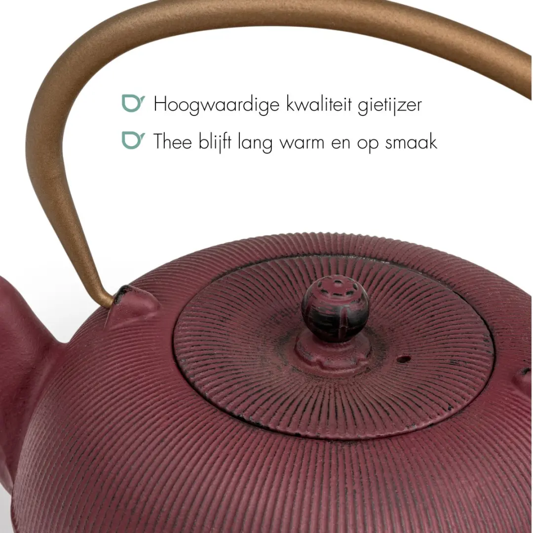 Bredemeijer Sichuan Gietijzeren Theepot 1L - Rood Plum