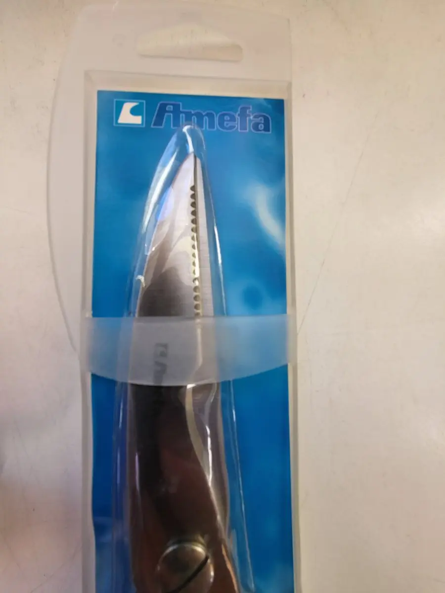 Amefa Praxos Wildschaar 8710 - RVS - 26 cm
