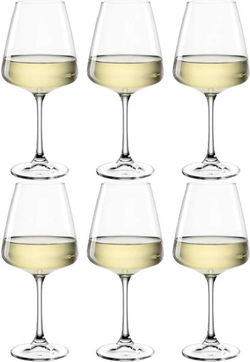 Leonardo Paladino Witte Wijnglazen 540ml