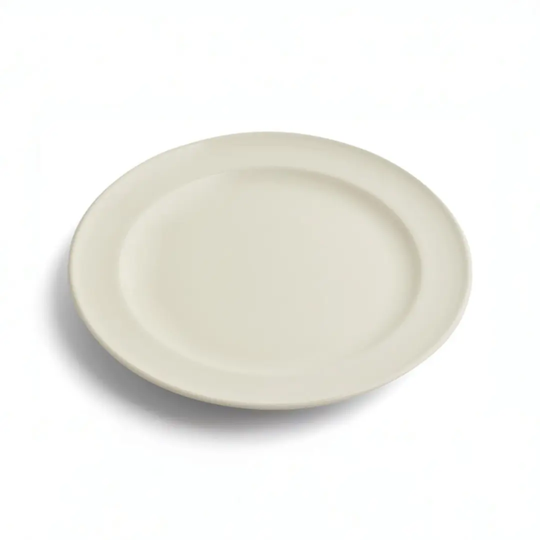 Royal Boch Bordenset 27cm - 6 Stuks - Wit