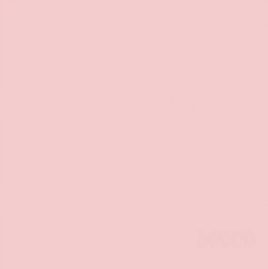 DDDDD Theedoeken Logo 60x65cm Pastel Roze - 6 Stuks