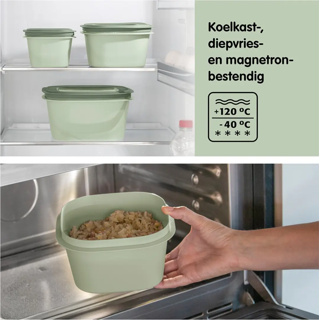 Sunware Sigma Home Vershoudbakjes - 3-delig - Groen