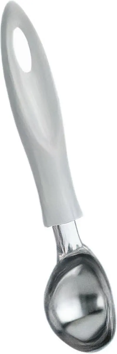 Metaltex IJsschep 20cm RVS