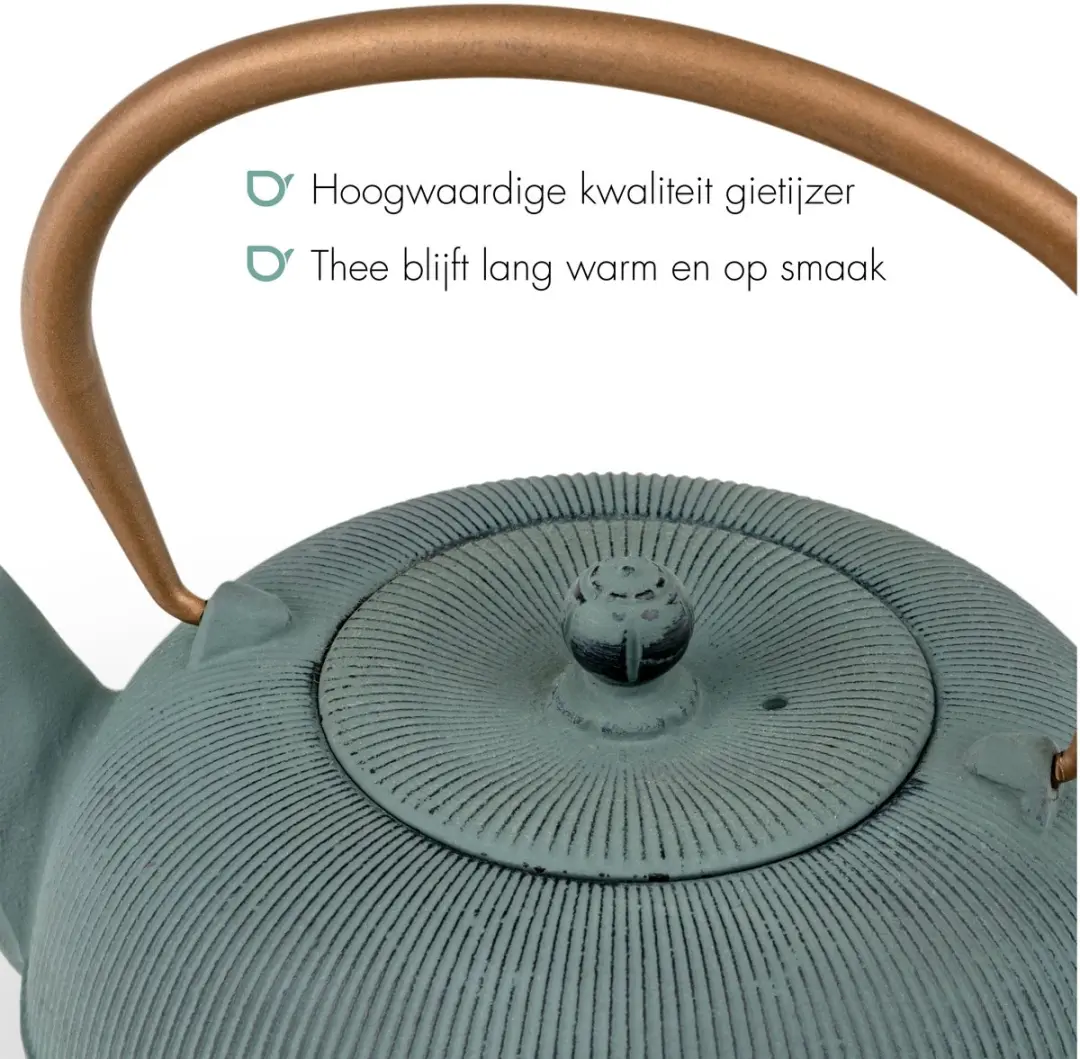 Bredemeijer Gietijzeren Theepot Sichuan 1L - Blauw
