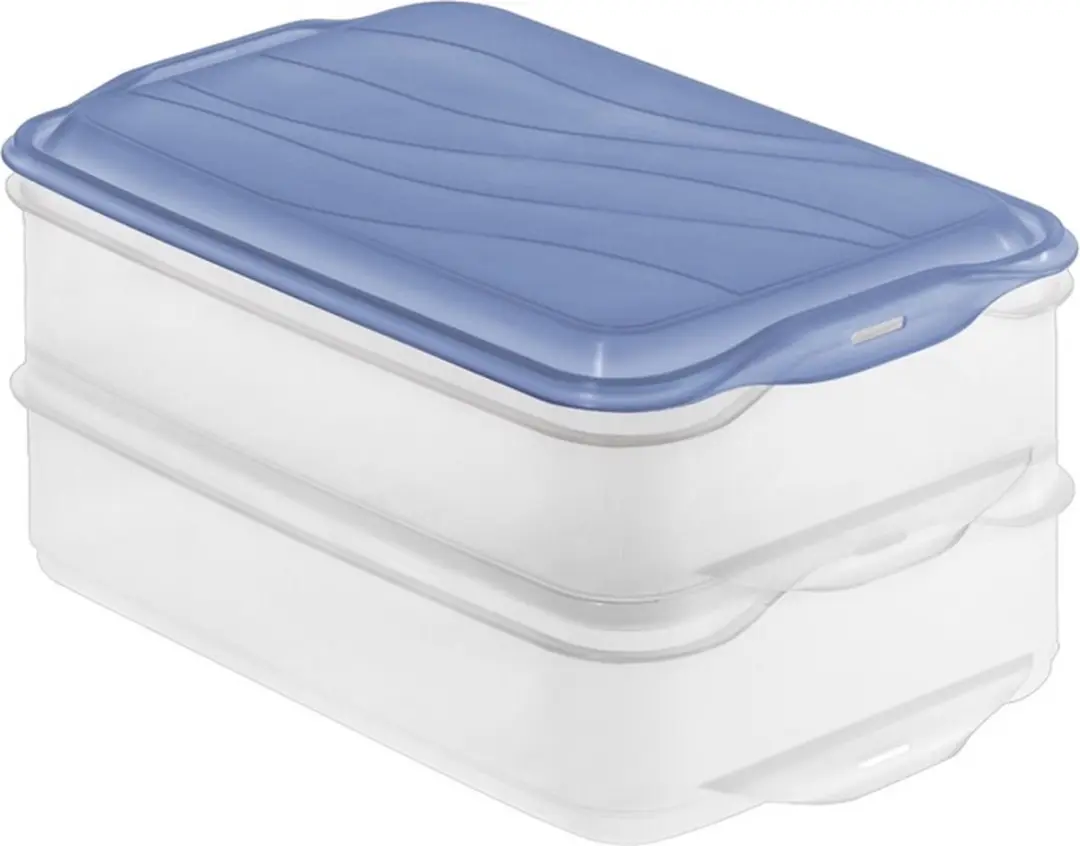 Rotho Rondo Vleeswarendoos 2x1,35L