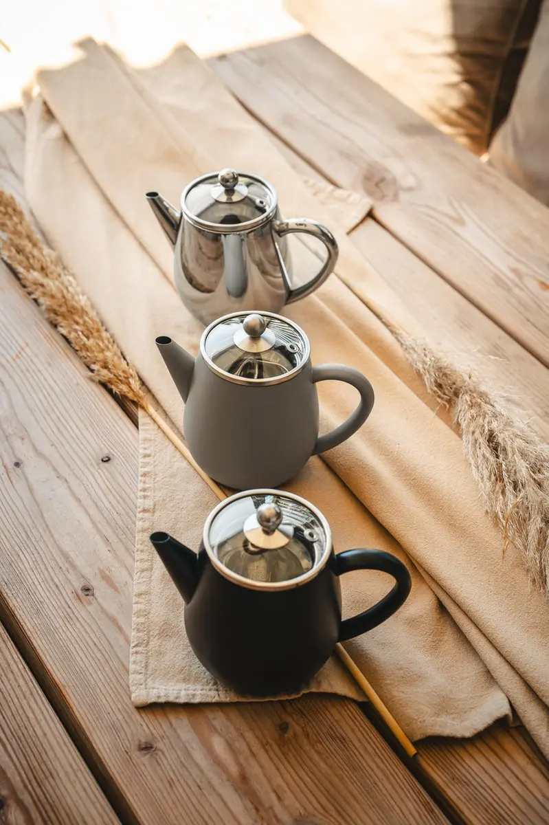 Bredemeijer Theepot Eva Dubbelwandig 0,5L - RVS