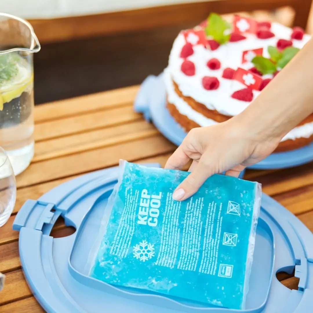 Rotho Fresh Taartdoos Cool & Horizon - Blauw/Transparant