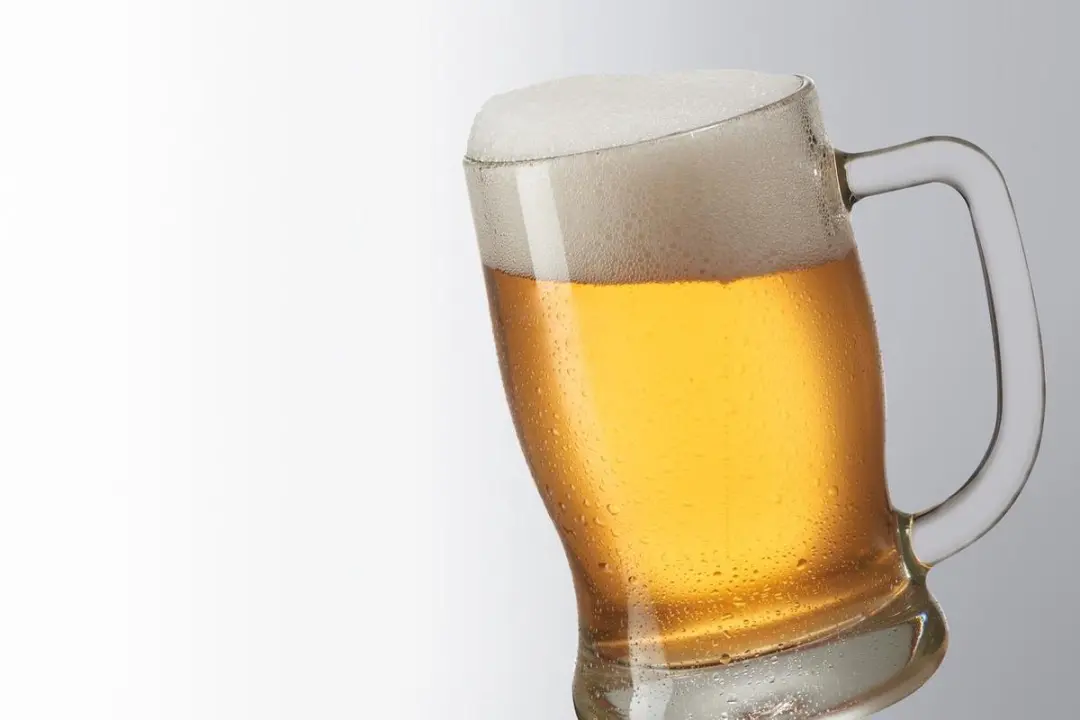 Leonardo Taverna Bierpul 500ml - Set van 2