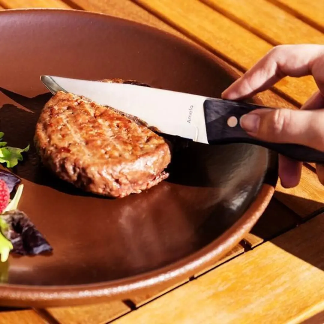 Amefa Hercule Steakmes 24,5cm - 13/0 - Zilver