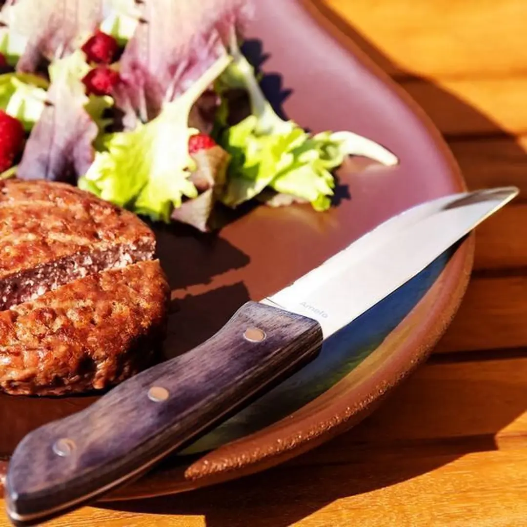 Amefa Hercule Steakmes 24,5cm - 13/0 - Zilver