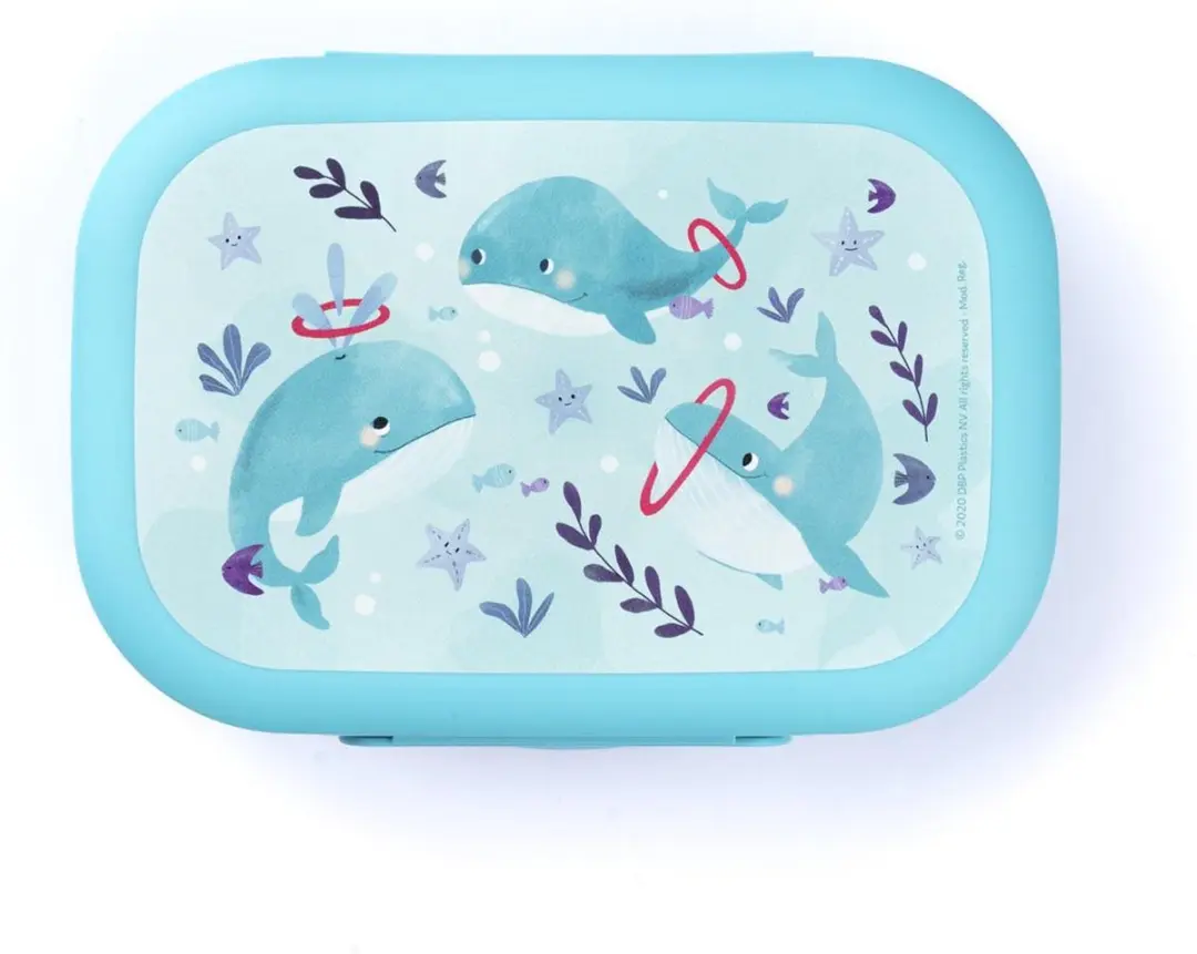 Amuse Sealife Lunchbox 500ml