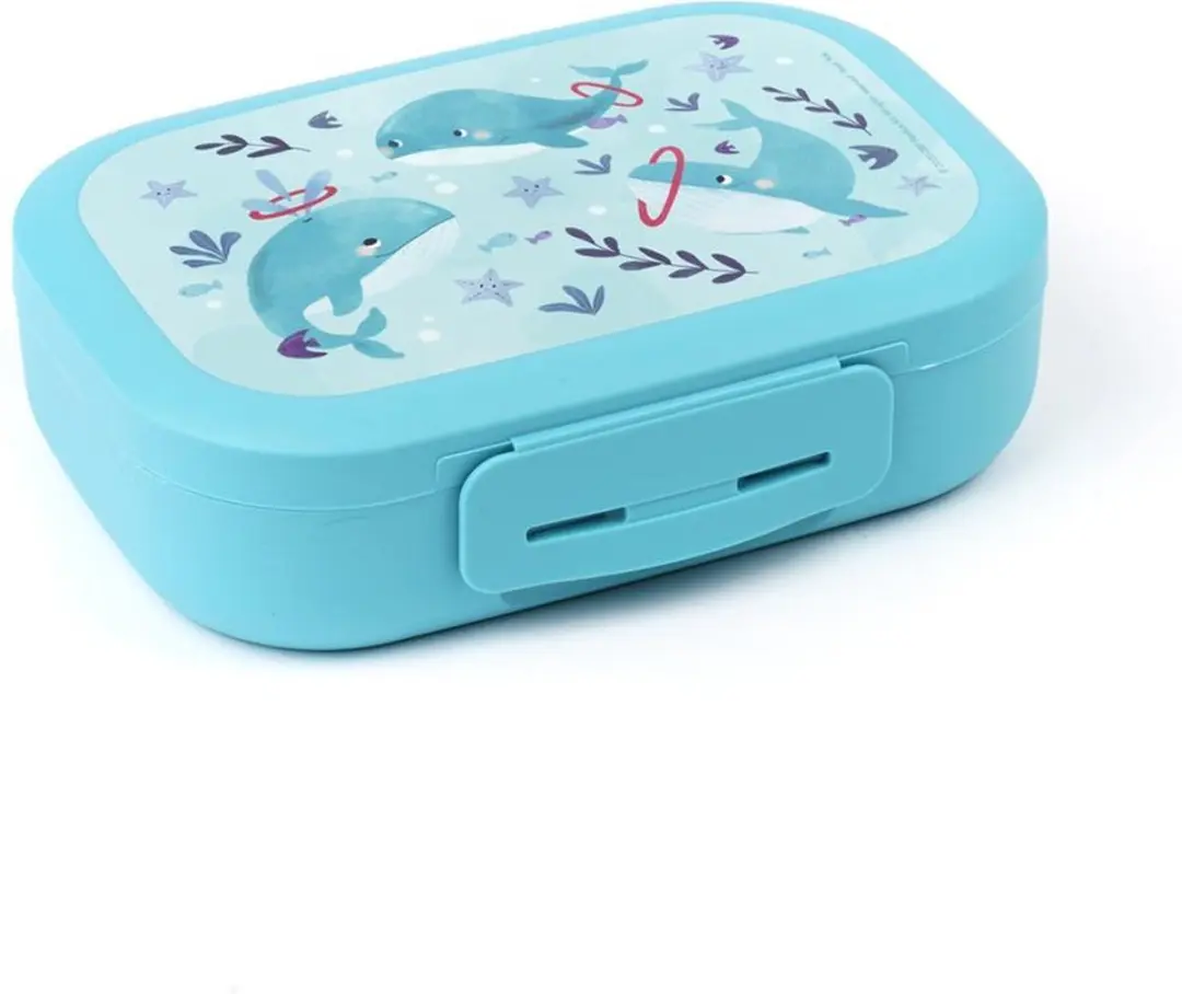 Amuse Sealife Lunchbox 500ml - Blauw