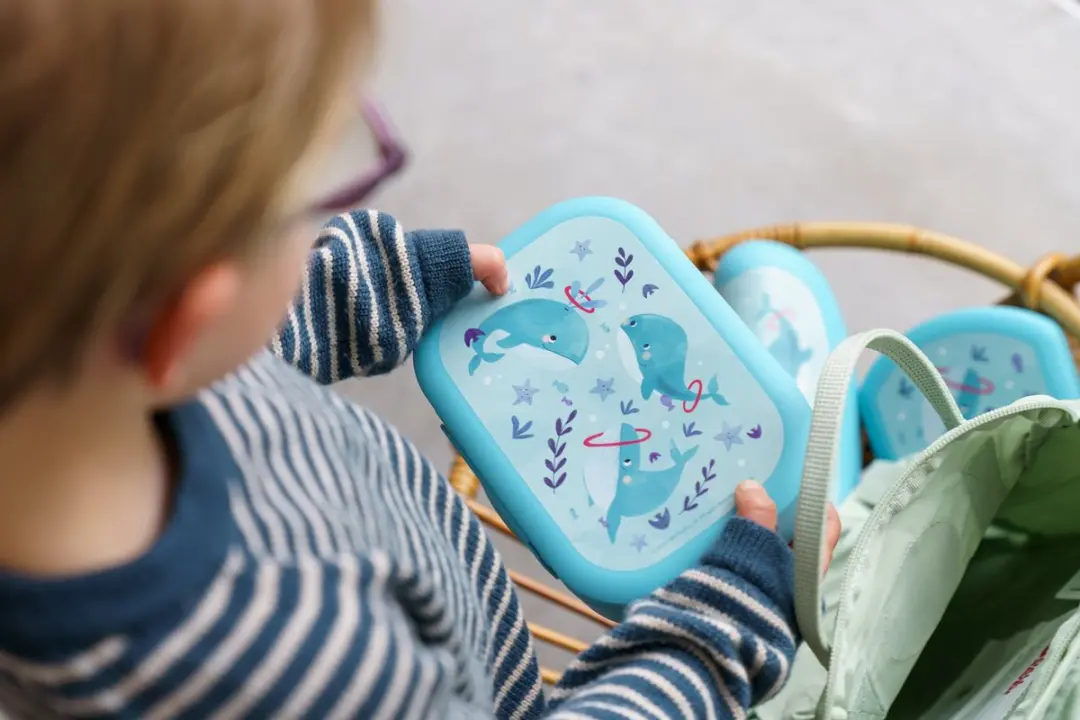 Amuse Sealife Lunchbox 500ml - Blauw