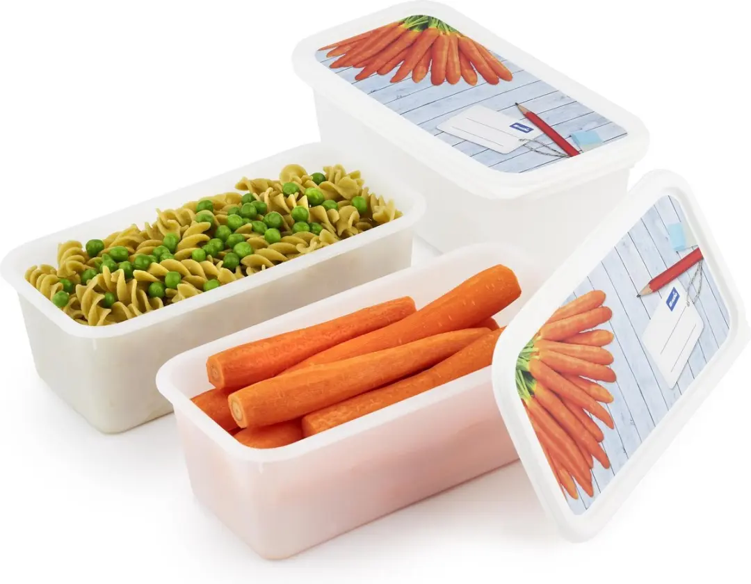 Rotho Domino Diepvriesdozen 3-delig 4 Stuks - 1.2L Wit