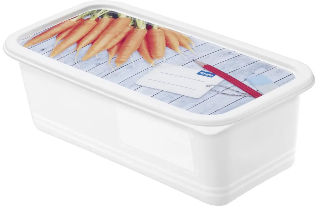 Rotho Domino Diepvriesdozen 3-delig 4 Stuks - 1.2L Wit
