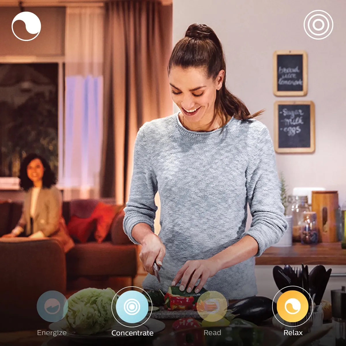 Philips Hue Festavia Lichtslinger 500 LED - 40m - Wit & Kleur - Incl. Dimmer Switch