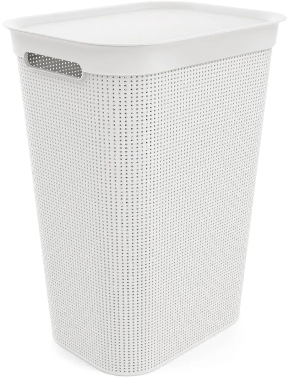 Rotho Wasmand 50L - Wit