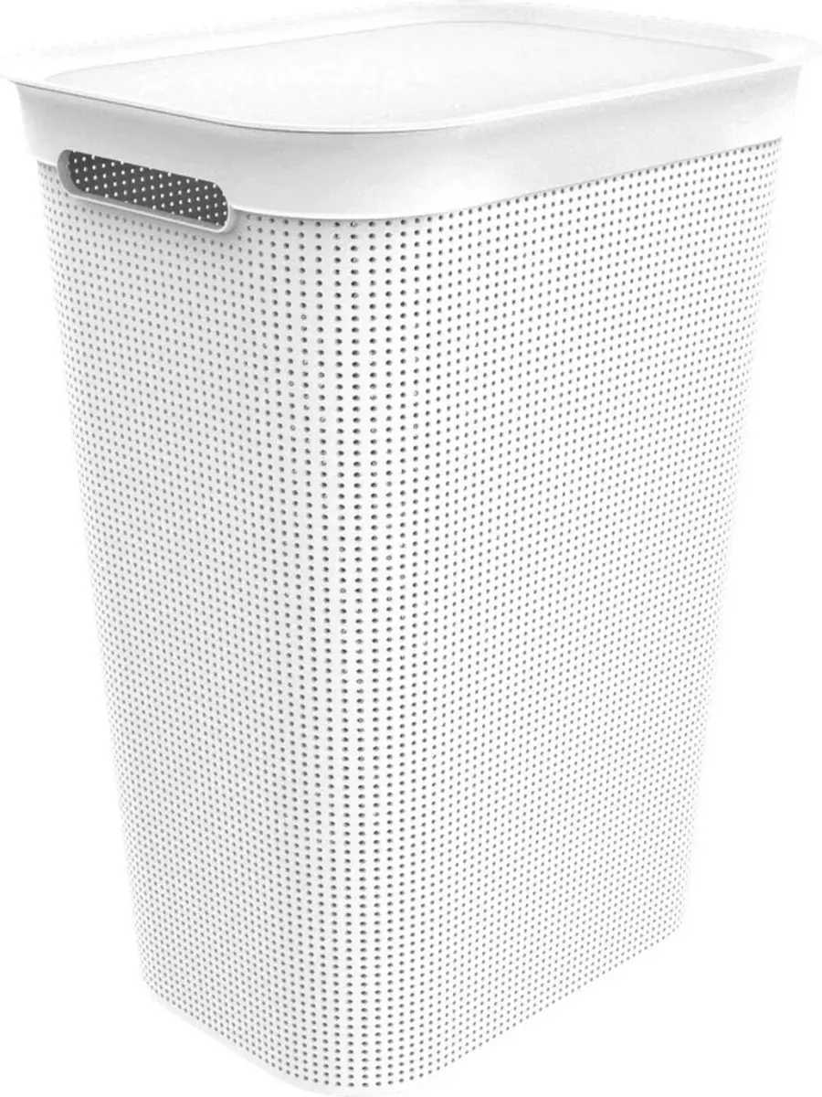 Rotho Wasmand 50L