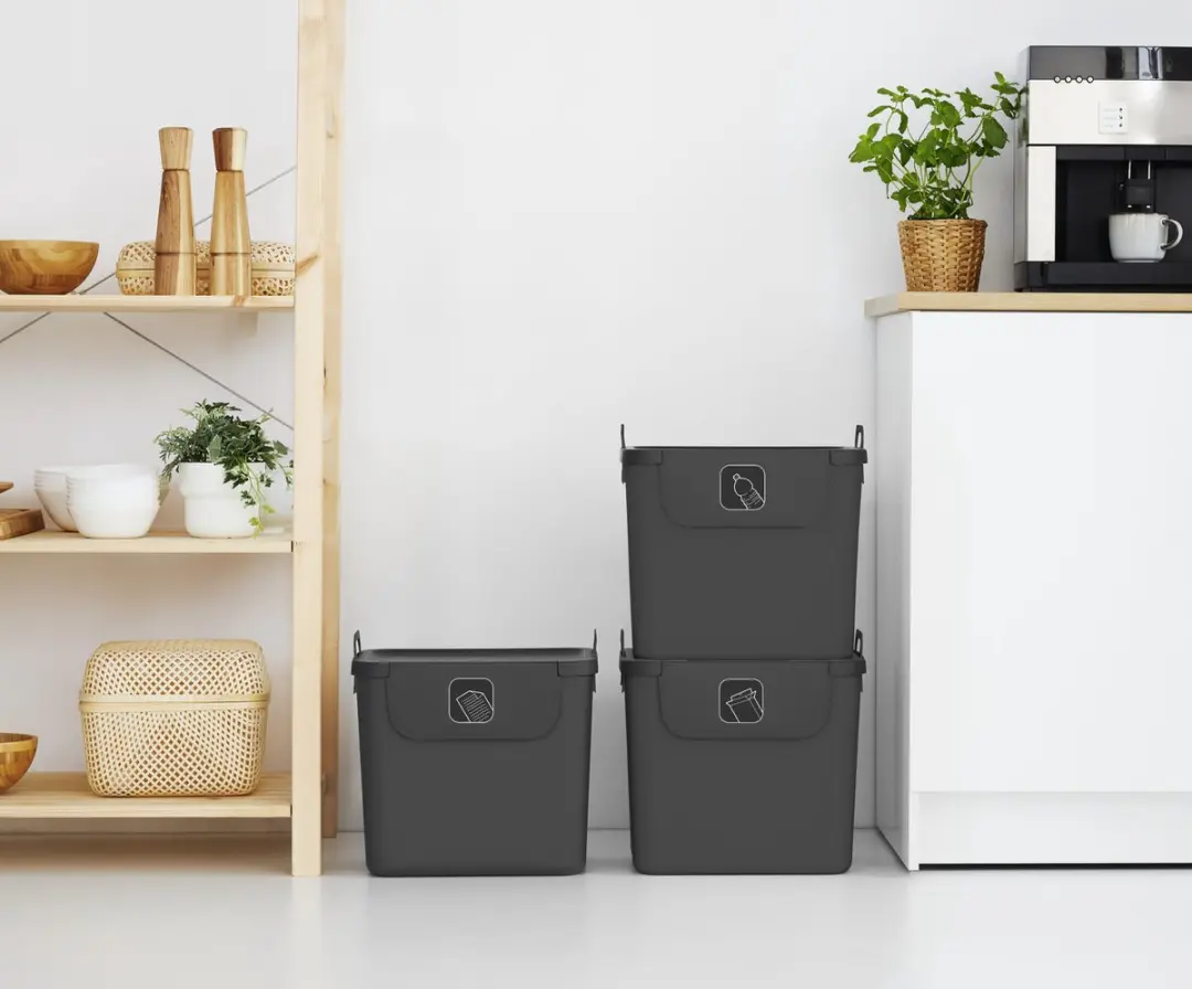 Rotho Jive Afvalscheiders 30L - Set van 3 Grijs