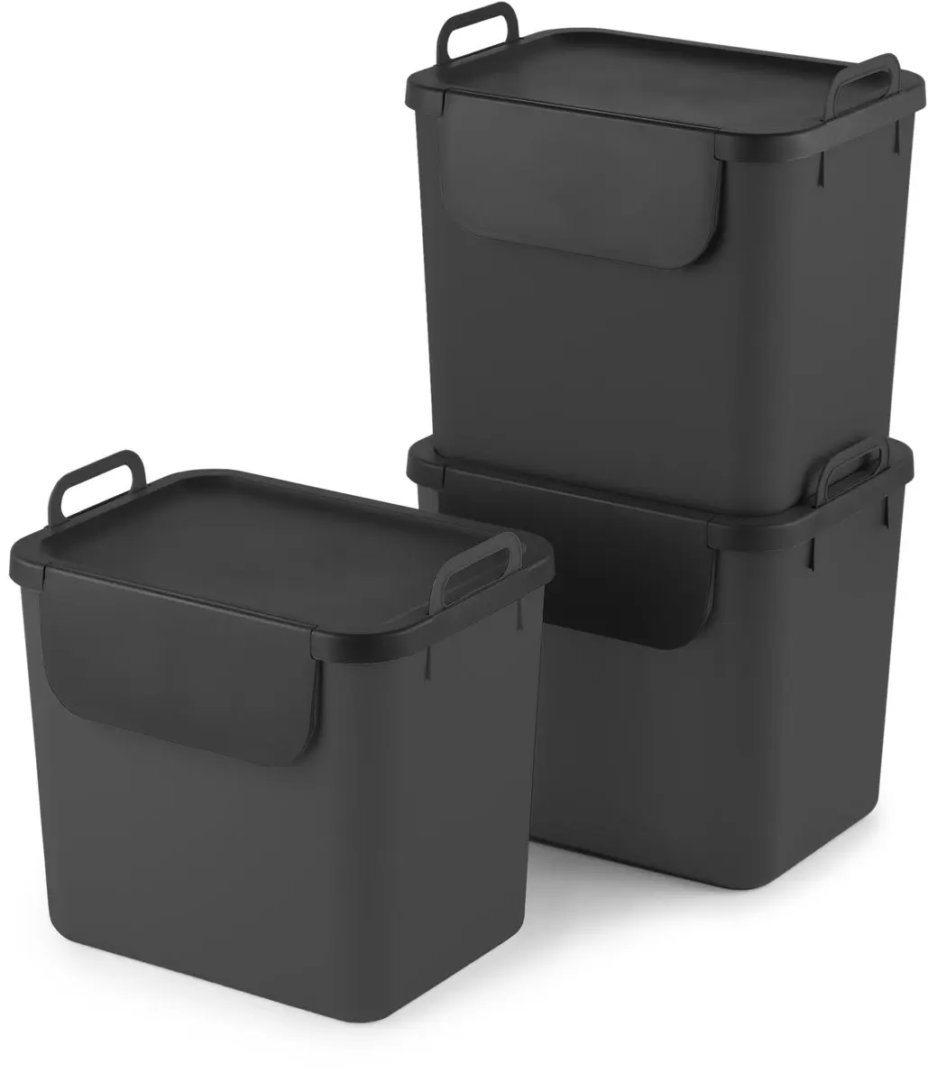 Rotho Jive Afvalscheiders 30L