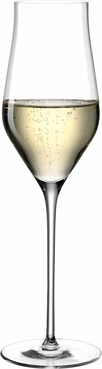 Leonardo Brunelli Champagneglazen 340ml - 6 Stuks