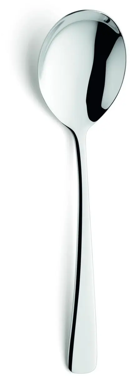 Amefa Gaia Bestekset 42-delig - 6 Personen - RVS Zilver