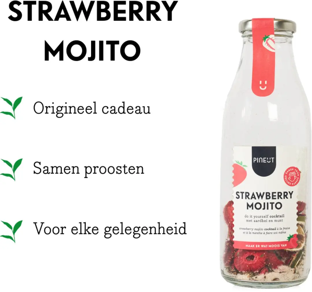 Pineut Strawberry Mojito Mix Cocktailkruiden Set