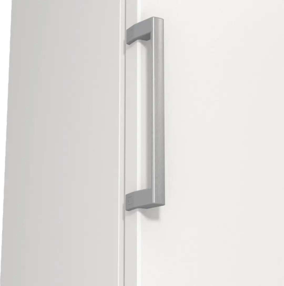 Gorenje FN619EEW5 Diepvriezer 280L - 7 Vakken - Wit