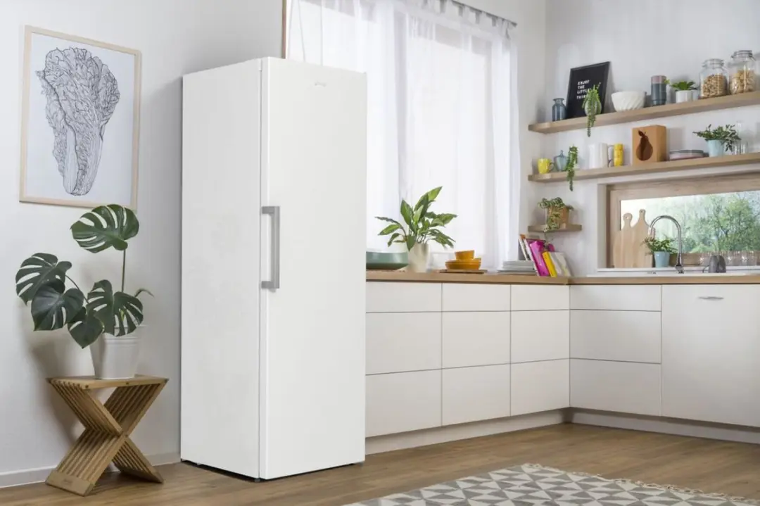 Gorenje FN619EEW5 Diepvriezer 280L - 7 Vakken - Wit - afbeelding 6 van 6