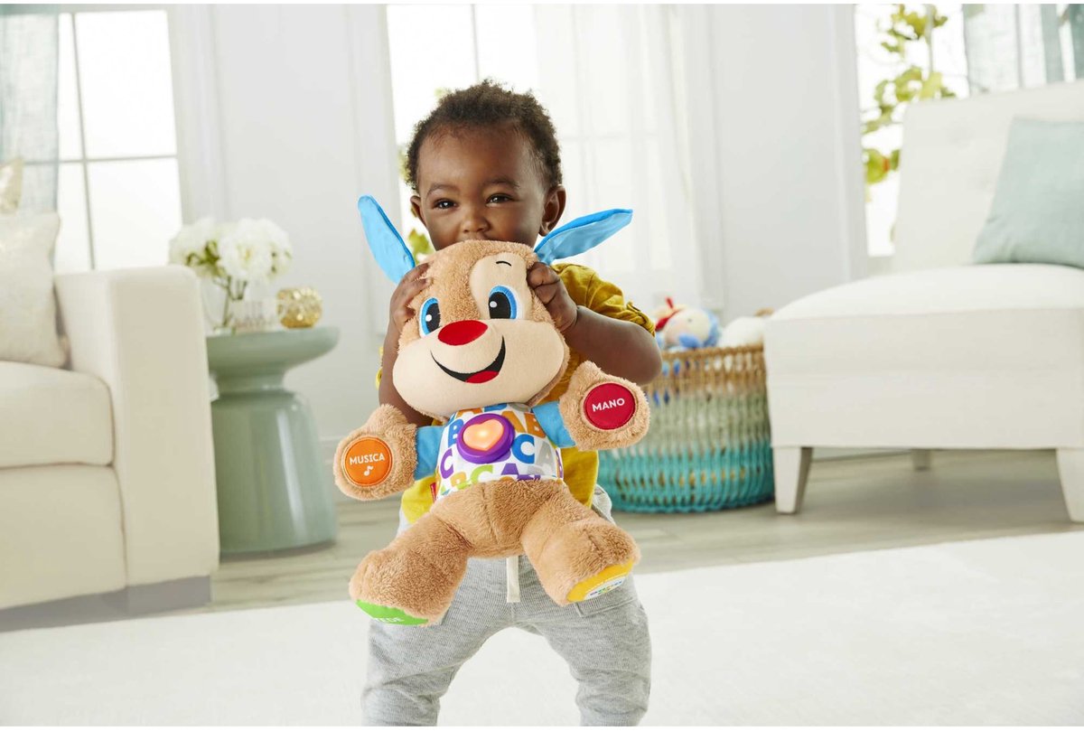 Fisher FPM51 educatief speelgoed