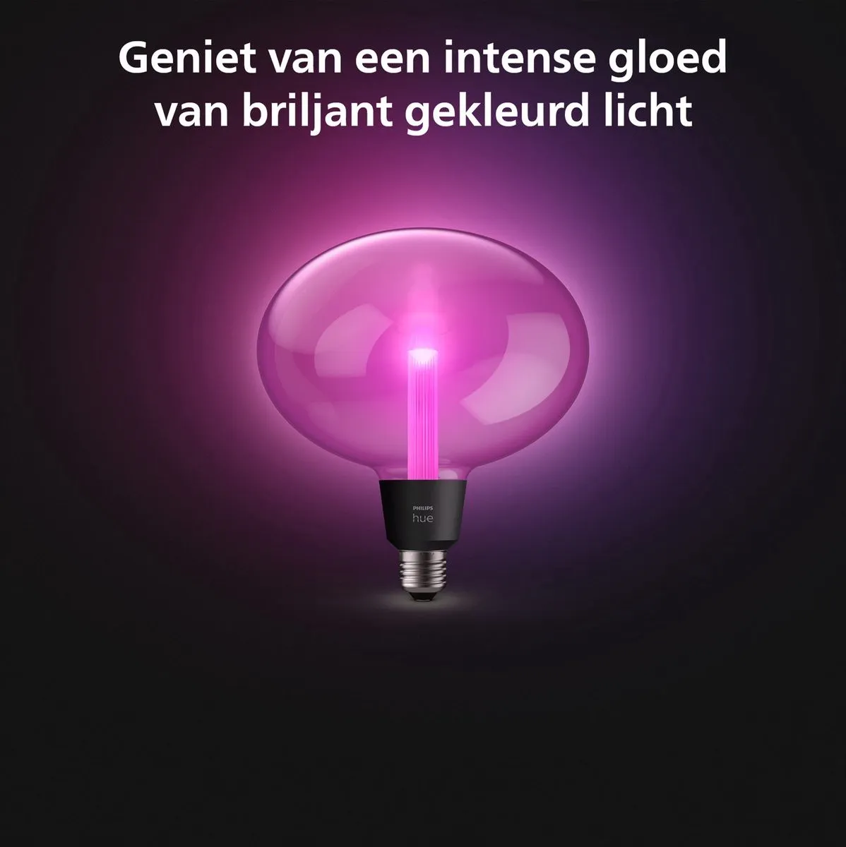 Philips Hue Lightguide Hanglamp Zwart - E27 RGBW