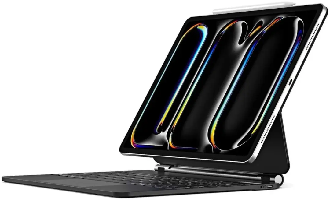 Dux Ducis Toetsenbordhoes Apple iPad Pro 13