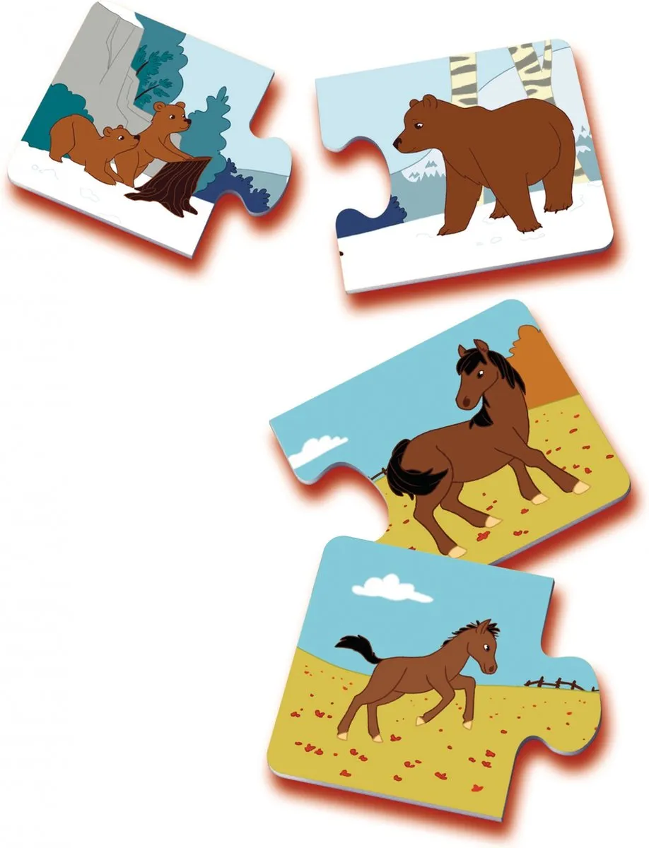 Ravensburger 00.024.023 Spel - 1-4 Spelers
