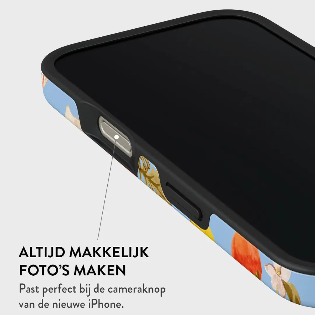 Burga Tough Backcover iPhone 16 Pro MagSafe - Al Fresco