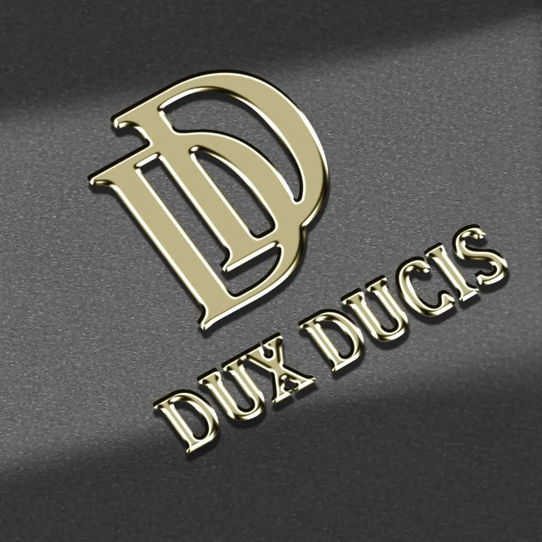 Dux Ducis Folio Pro Hoesje S23 FE - Zwart - afbeelding 6 van 6