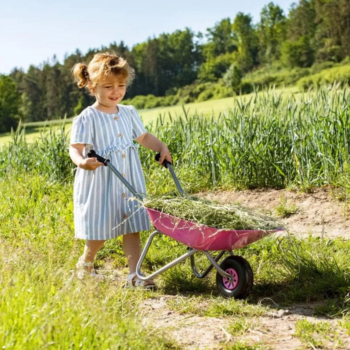 Rolly Toys Kruiwagen Metaal Roze
