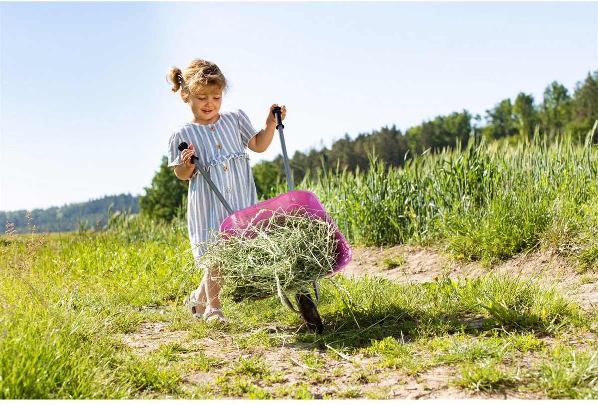 Rolly Toys Kruiwagen Metaal Roze