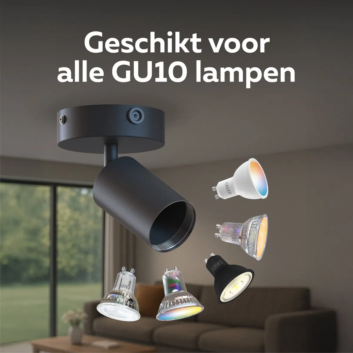 Calex Plafondlamp 1-Lichts Opbouwspot Zwart-Goud