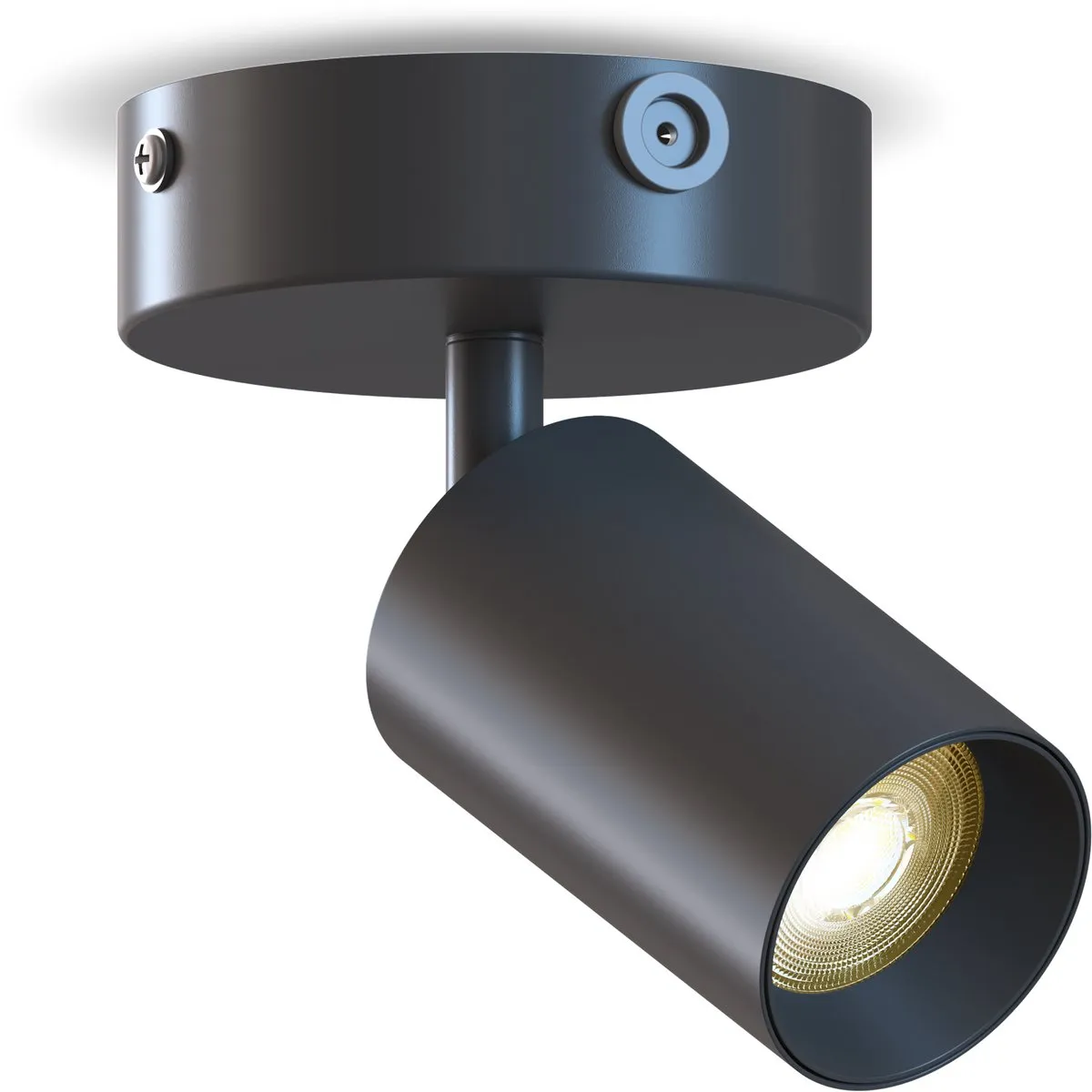Calex Plafondlamp 1-Lichts Opbouwspot Zwart-Goud