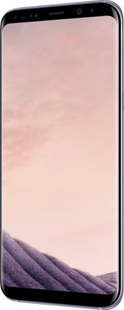 Samsung Galaxy S8 Plus - Grijs