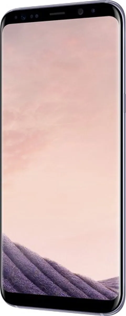 Samsung Galaxy S8+ G955F64GR3 Smartphone - 64GB - Grijs