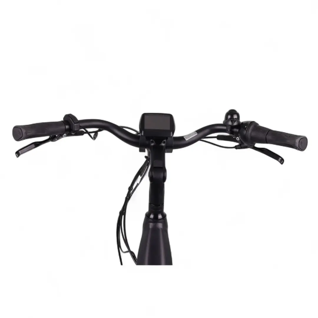 Altec Adventure Elektrische Fiets 28 inch - Mat Zwart - 733Wh Accu