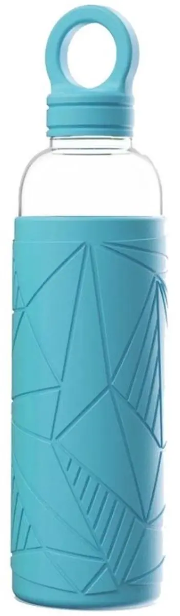 Royal Leerdam Drinkfles 2 Go 55cl