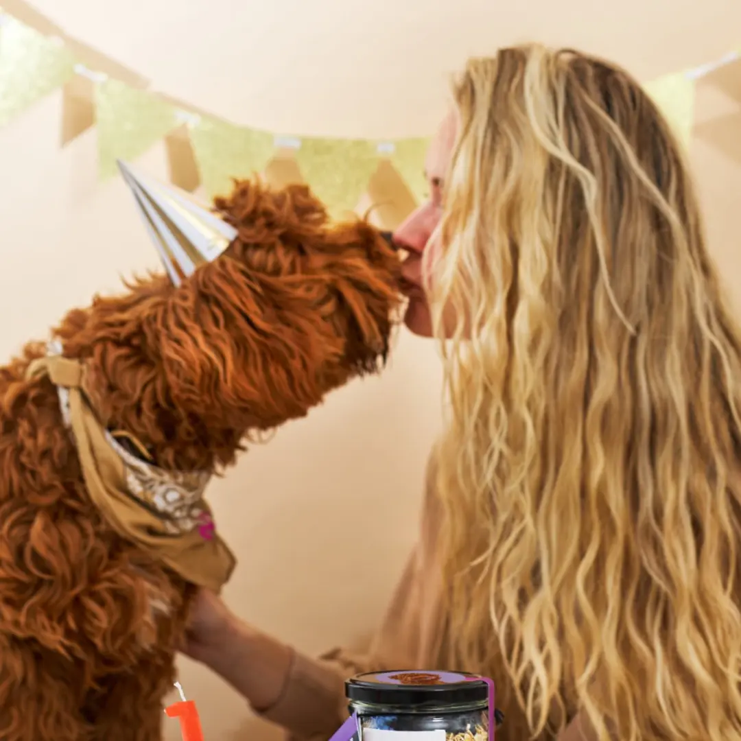 Pineut Woof Bake Pupcake Hondensnacks