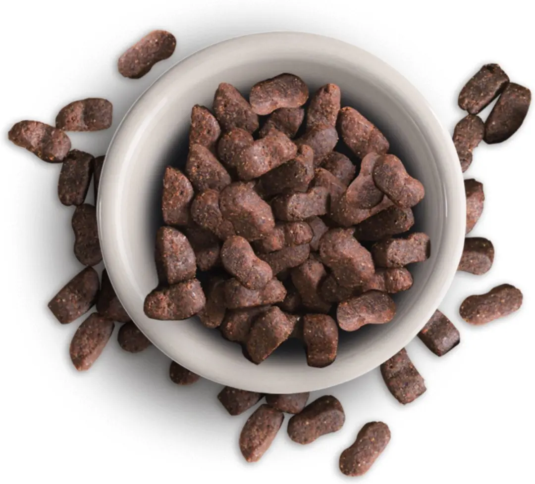 Leonardo Adult Grain Free Maxi Kattenvoer Gevogelte 7.5 kg