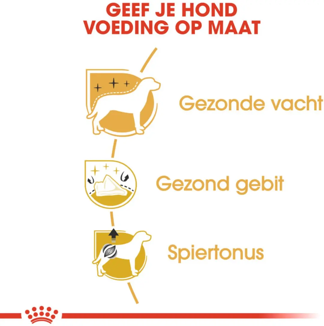 Royal Canin Poodle Adult Hondenvoer - 6x1,5kg