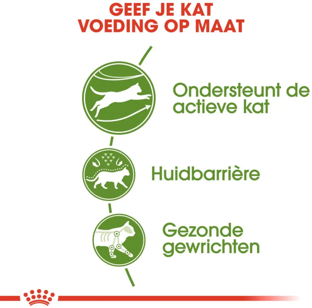 Royal Canin Outdoor Kattenvoer - 6x2kg