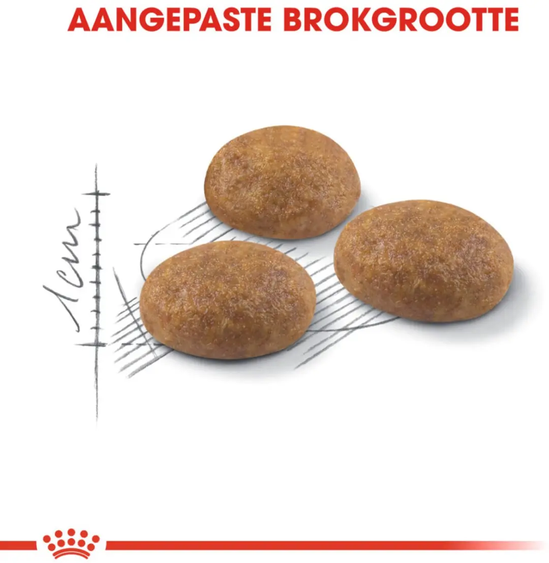 Royal Canin Outdoor Kattenvoer - 6x2kg