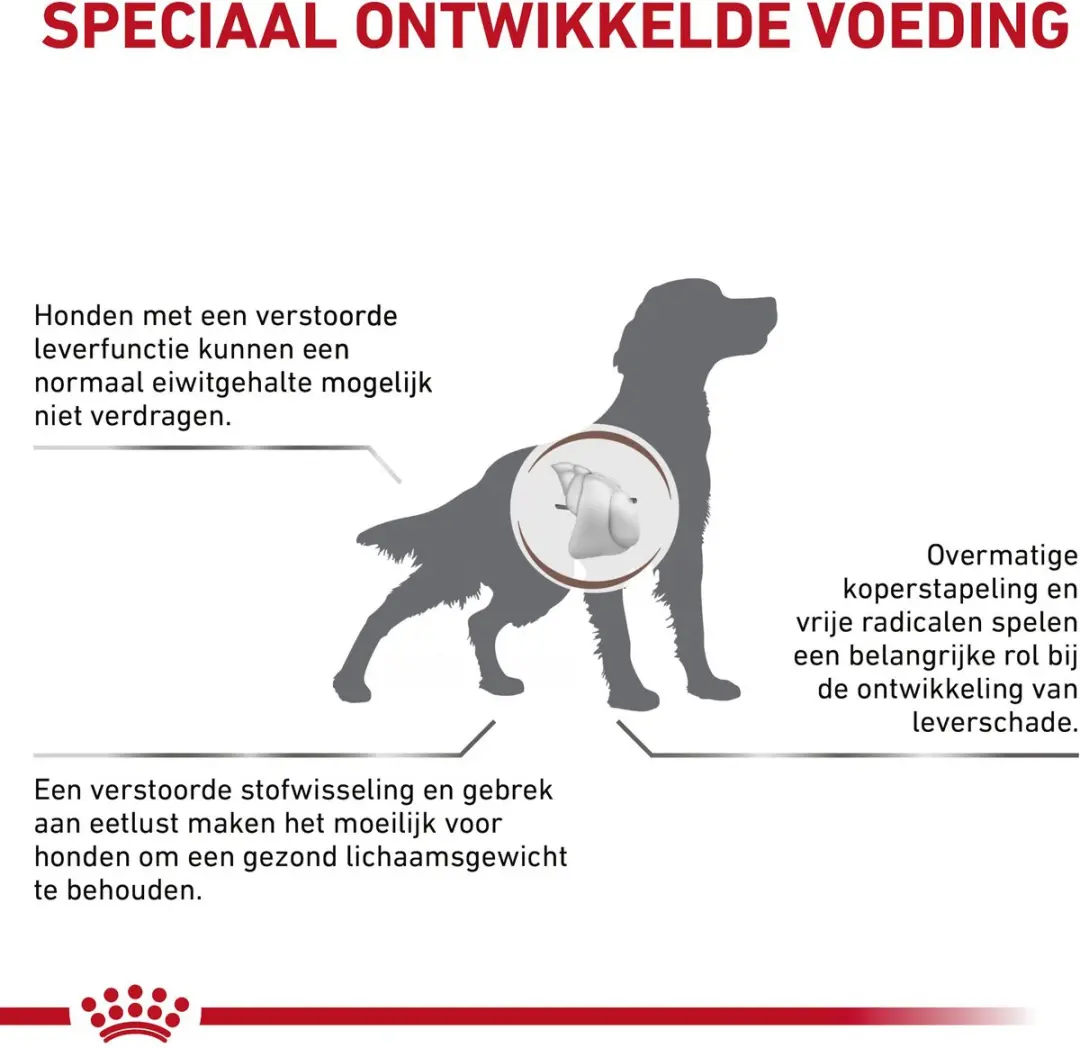 Royal Canin Hepatic Hond 12kg - 13 Stuks